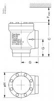 CHV-X 100 Клапан обратный